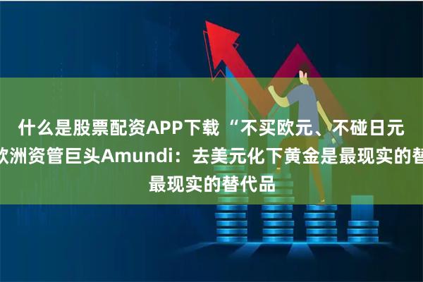 什么是股票配资APP下载 “不买欧元、不碰日元”，欧洲资管巨头Amundi：去美元化下黄金是最现实的替代品